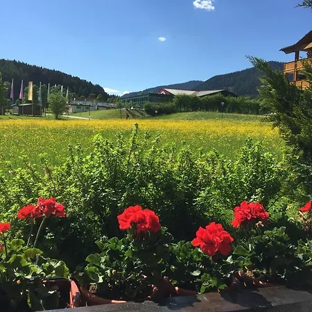 Appartement Ani Ramsau am Dachstein