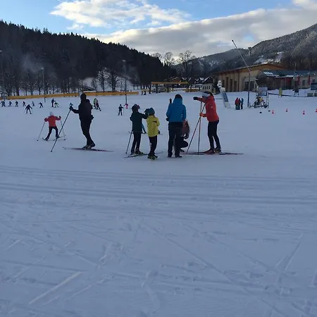 Διαμέρισμα Ani *